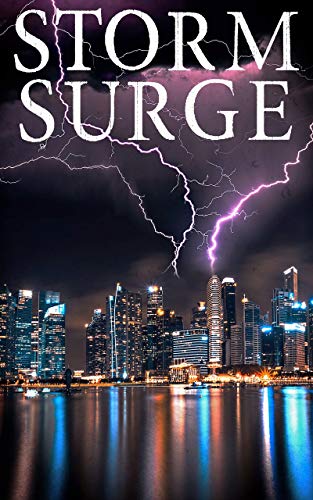 Book Cover Storm Surge: EMP Survival in a Powerless World