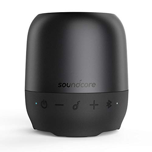 Book Cover Anker Soundcore Ace A1 Portable Bluetooth Speaker, Wireless Portable Speaker with Big Sound, Rich Bass, 6-Hour Playtime, and Detachable Cord for Home, Travel, and More