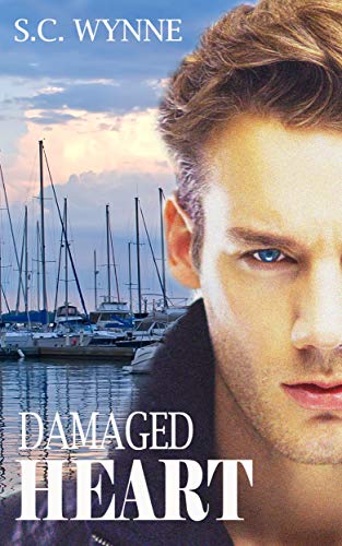 Book Cover Damaged Heart: Gay Romance
