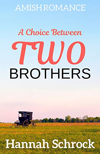 Book Cover A Choice Between Two Brothers
