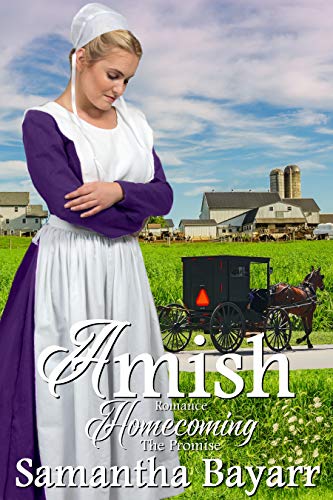 Book Cover Amish Promise (Amish Homecoming Book 3)