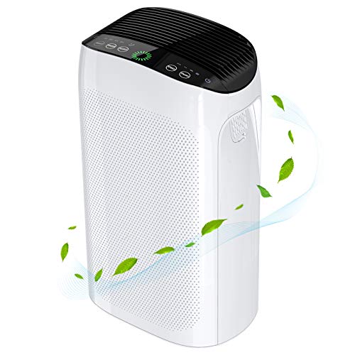 Portable Air Conditioner, 12000 BTU Air Conditioner Portable for 3-in-1 with Dehumidifier and Fan Mode,Quiet Portable AC Unit, Room Up to 550 Sq.Ft, Remote Control, Windo Kit