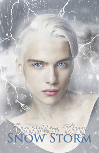 Book Cover Snow Storm (Haven Hart Book 5)