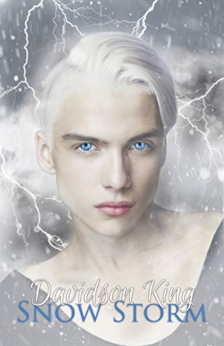 Snow Storm (Haven Hart Book 5)