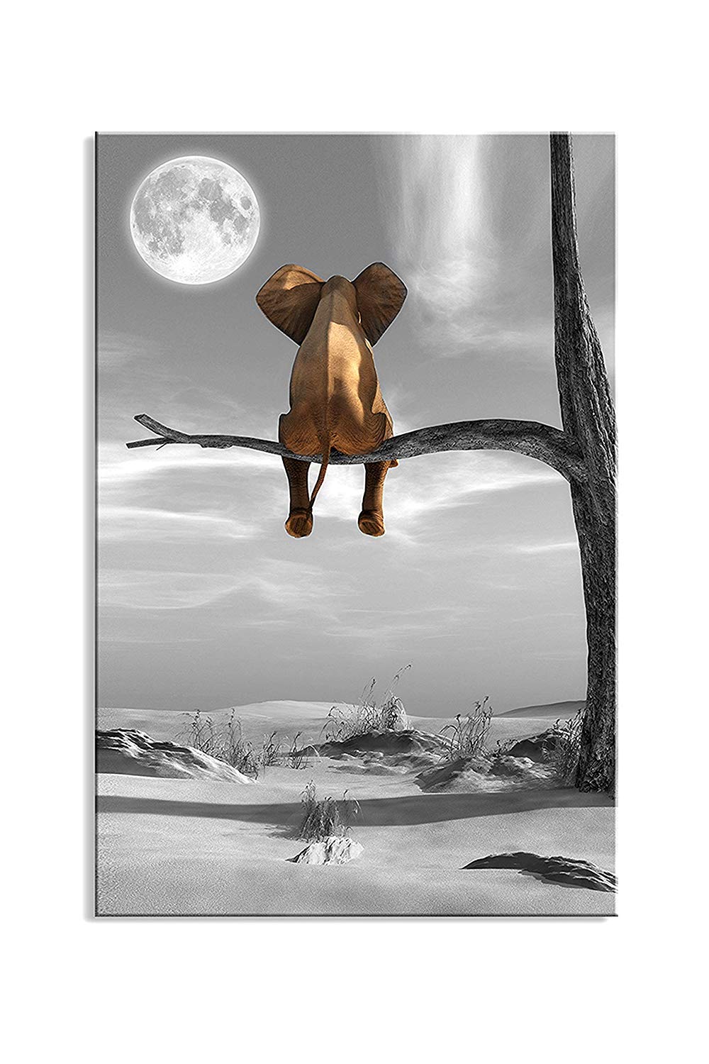 Book Cover Canvas Wall Art Animal Resting Elephant Look at the moon Wall Pictures Giclee wall decor on Canvas Stretched artwork Living Room Bedroom Ready to Hang
