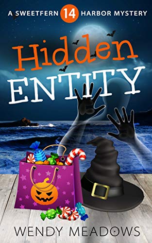 Hidden Entity (Sweetfern Harbor Mystery Book 14)