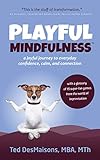 Playful Mindfulness: a joyful journey to everyday confidence, calm, and connection