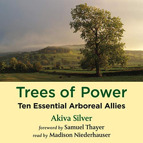 Book Cover Trees of Power: Ten Essential Arboreal Allies