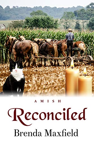Book Cover Reconciled (Hannah's Story Book 3)