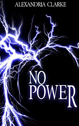 Book Cover No Power: EMP Survival In A Powerless World
