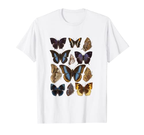 Vintage Botanical Butterfly Species T-Shirt