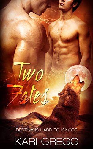 Book Cover Two Fates