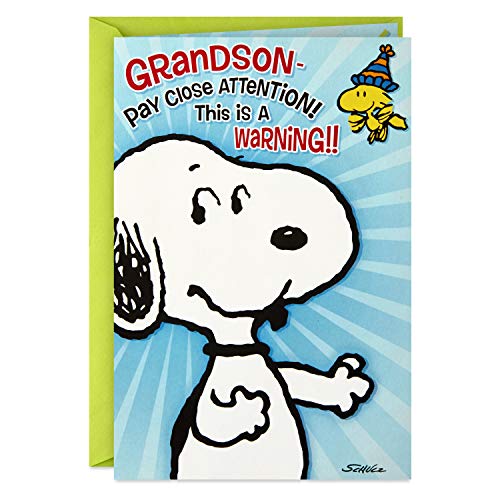 Hallmark Peanuts Pop Up Birthday Card for Grandson (Birthday Hug)