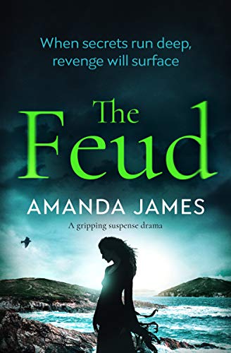 Book Cover The Feud: a gripping suspense drama