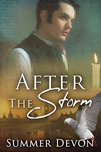 Book Cover After The Storm