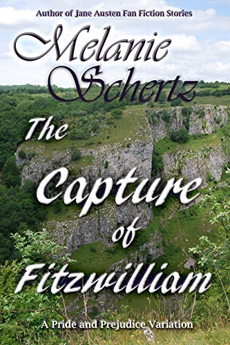 Book Cover The Capture of Fitzwilliam