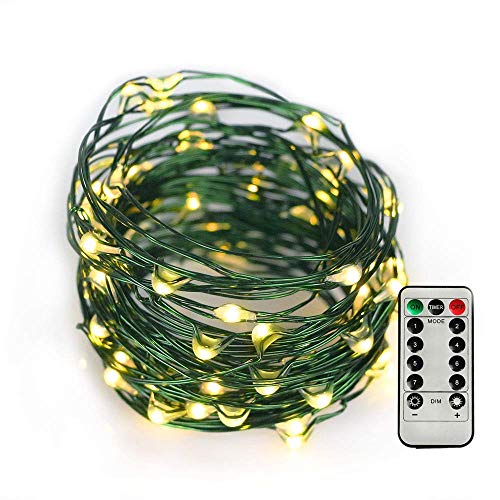 Rjlx 2016 OUTYLTS 33ft 100 Led String Lights, Battery Operated Waterproof 8 Modes Fairy String Lights for Bedroom Indoor Outdoor Dorm Christmas Tree Decor (Green Copper Wire Lights, Warm White)
