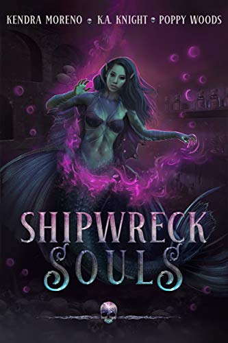 Book Cover Shipwreck Souls