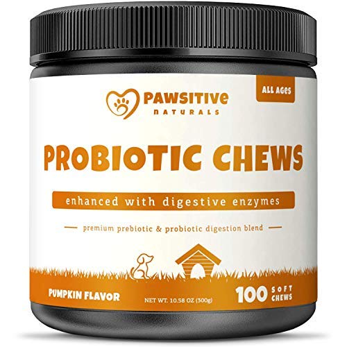 Probiotics for Dogs - 100 Soft Chew Bites - Natural Prebiotics with Probiotic Treats - Relieves Dog Constipation & Diarrhea, Improves Digestion, Allergy, Hot Spots, Immunity & Health