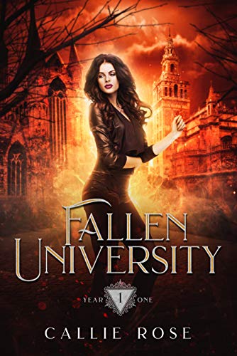 Book Cover Fallen University: Year One: A Reverse Harem Paranormal Romance