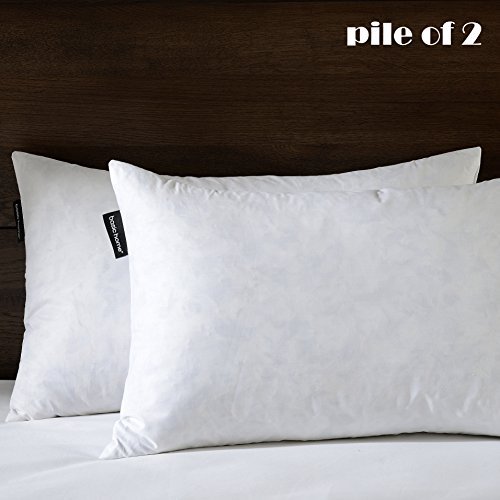 Book Cover Basic Home 14x14 Decorative Throw Pillow Inserts-Down Feather Pillow Inserts-Square-Cotton Fabric-Set of 2-White.