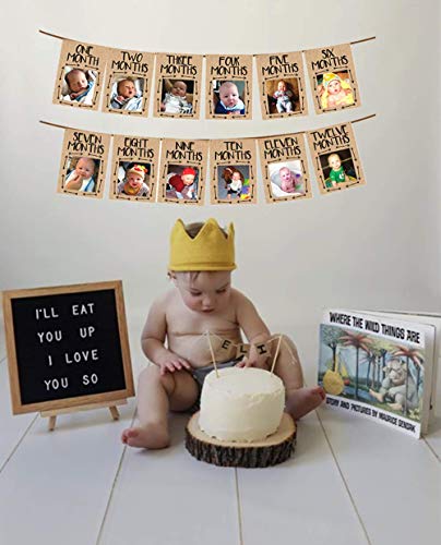 Book Cover JeVenis Wild One Baby Photo Banner Wild One 12 Month Banner First Birthday Decorations 12 Month Photo Banner First Birthday Garland First Birthday Monthly Photo Banner