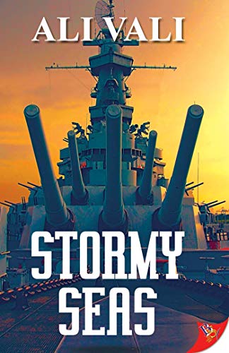 Book Cover Stormy Seas