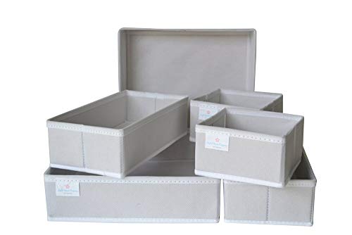 Joyful Space Company Drawer Organizers Optimized for use in Dresser Drawers or Closet Shelves - Perfect for Storing Your Clothing, Underwear, Socks, and Accessories (Mist)…