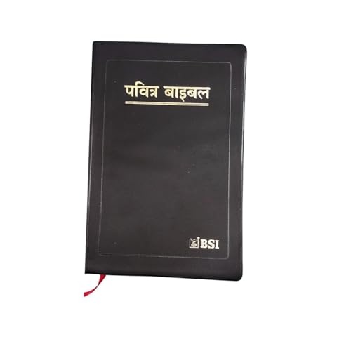The Holy Bible: Hindi- O.V Re Edited Compact size (updated 2019) containing Old and New testament