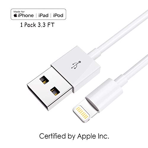 Apple iPhone/iPad Charging/Charger Cord Lightning to USB Cable[Apple MFi Certified] for iPhone X/8/7/6s/6/plus/5s/5c/SE,iPad Pro/Air/Mini,iPod Touch(White 3.3FT/1M) Original Certified