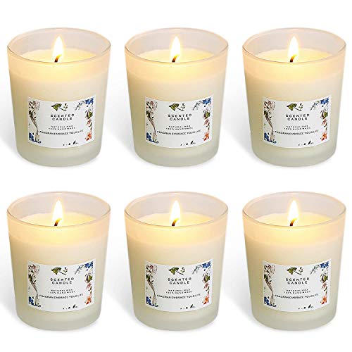 YYHC Set of 6 Scented Candles 100% Soy Wax Glass, Home Fragrance Candle Gifts