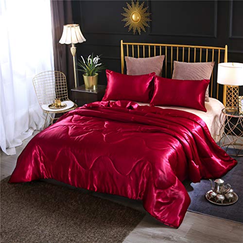 Book Cover NTBED Satin Silky Comforter Set Queen (90''x90'') Luxury Soft Lightweight Sexy Microfiber Bedding Comforter with 2 Pillow Cases (Red, Queen)