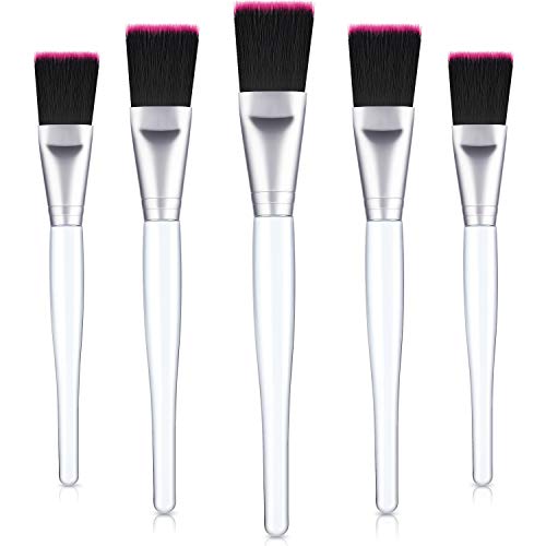 Book Cover Facial Mask Brush Makeup Brushes Cosmetic Tools with Clear Plastic Handle, 5 Pack (Silver with Black Rose Brush)