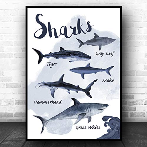 Book Cover Types of Shark Children's Nursery Kids Wall Art Print