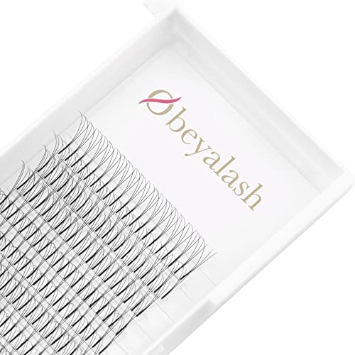 Premade Lash Extensions Fans 3D 9-15mm Mix Tray Premade Fans Eyelash Extensions Volume Eyelash Extensions 0.10 Volume Lash Extensions D Curl Premade Fans (3D 0.10 9-15mm)