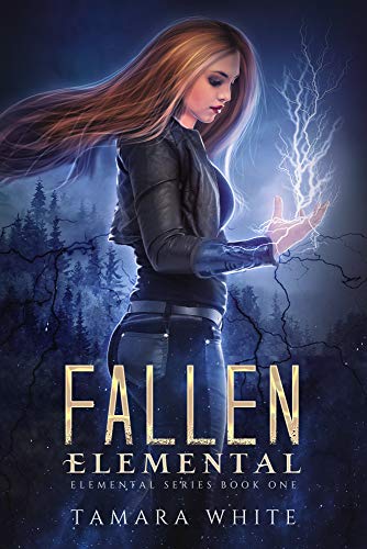 Book Cover Fallen Elemental: A Reverse Harem Story (Elemental Series Book 1)