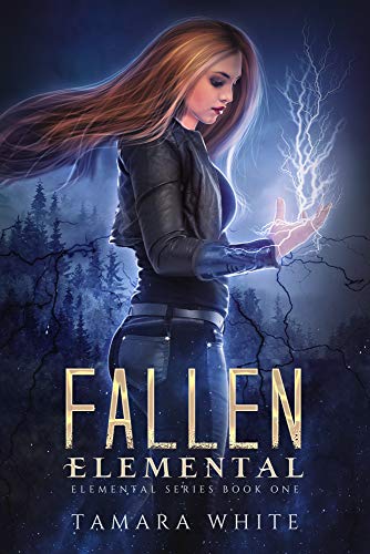 Fallen Elemental: A Reverse Harem Story (Elemental Series Book 1)