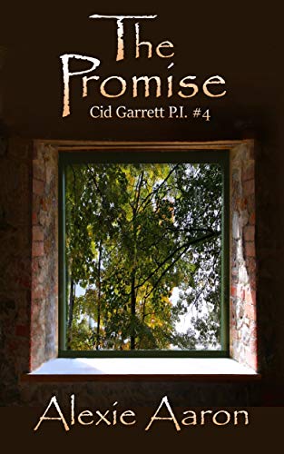 Book Cover The Promise (Cid Garrett P.I. Book 4)