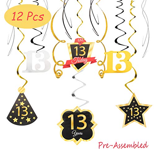 LINGTEER Happy 13th Birthday 13 Party Decoration Silver Black Gold Foil Swirl Streamers I'm Thirteen Years Old Today Birthday Hat Gold Star Ornament Party Present Supplies