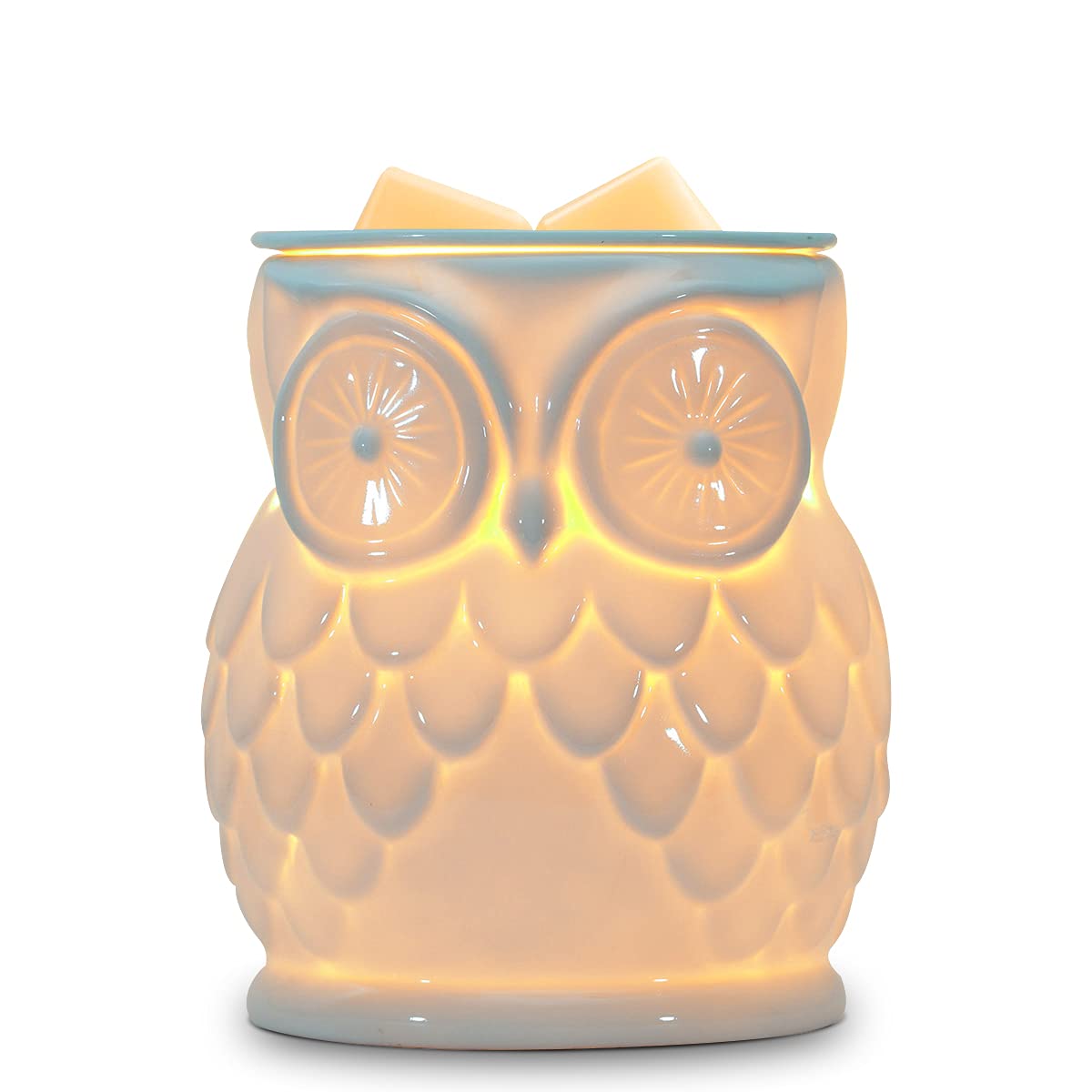 Electric Wax Melts Burner Ceramic Oil Burner Fragrance Warmer Melter Aromatherapy Burner for Home Office Bedroom Living Room Yoga Gift