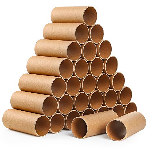 Sntieecr 30 Pack 3.9 Inches Sturdy Craft Rolls Cardboard Tubes for DIY Creative Handmade Projects