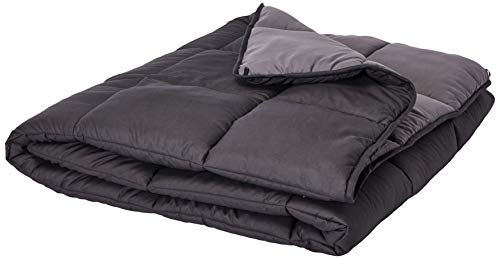 Linenspa All-Season Reversible Down Alternative Quilted Comforter - Hypoallergenic - Plush Microfiber Fill - Machine Washable - Duvet Insert or Stand-Alone Comforter - Black/Graphite - Twin XL