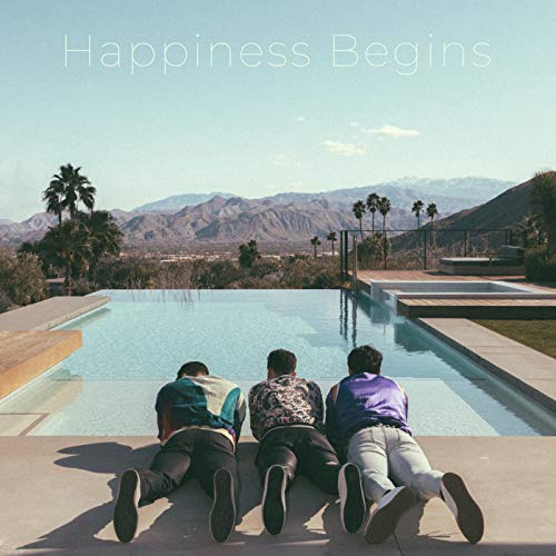 Book Cover Happiness Begins