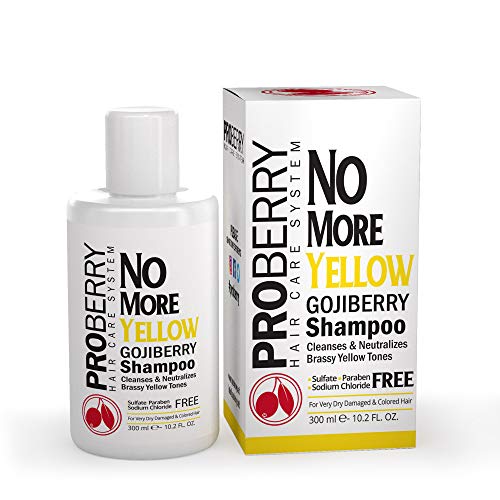 Purple Shampoo for Blonde Hair: Brighten Blonde, Silver & Highlighted Hair - Blonde Shampoo Instantly Washes Away Brassy Yellow Tones - Sulfate, Paraben & Sodium Chloride Free Hair Toner - 10.2 OZ