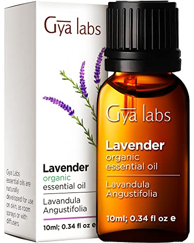 Gya Labs Organic Lavender Essential Oil for Diffuser & Skin - Organic Lavender Oil for Aromatherapy & Feelings of Relaxation - Lavender Oil Organic for Hair (0.34 fl oz)