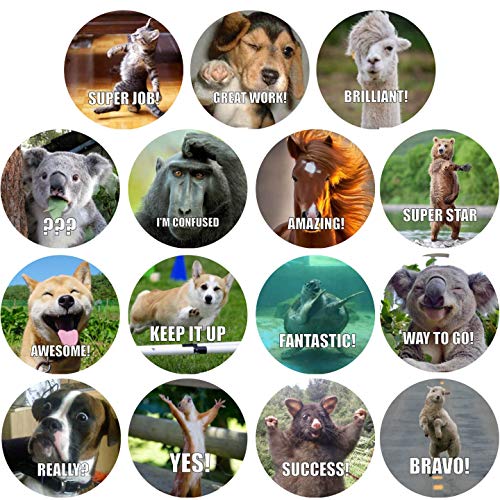 300 Pack Reward Stickers for Teachers. Fun Motivational & Incentive Stickers for Kids. Trendy Animal Meme Stickers for All Ages and All Classes.