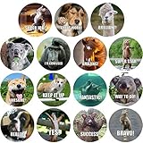 300 Pack Reward Stickers for Teachers. Fun Motivational & Incentive Stickers for Kids. Trendy Animal Meme Stickers for All Ages and All Classes.