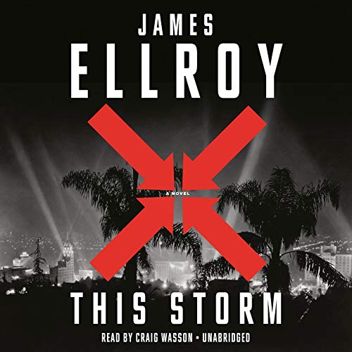 This Storm: A Novel