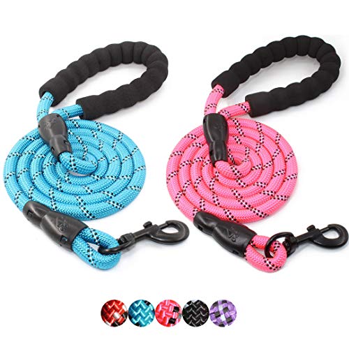 Book Cover BAAPET 2 Packs 5 FT Strong Dog Leash with Comfortable Padded Handle and Highly Reflective Threads Dog Leashes for Medium and Large Dogs (Blue+Pink)