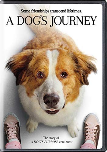 Book Cover A Dog's Journey